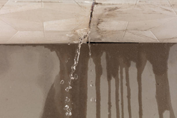 Professional Burst Pipe Cleanup technician working in Neeses, SC